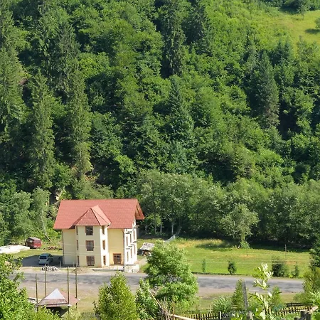 Lisnyi