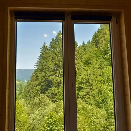 Lisnyi 호텔 Mizhhirya (Transcarpathia)