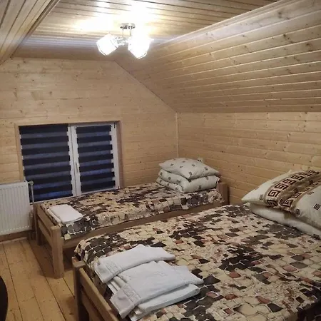 Отель Lisnyi