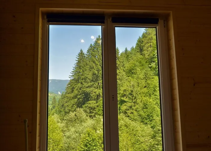 Lisnyi Отель Mizhhirya (Transcarpathia)