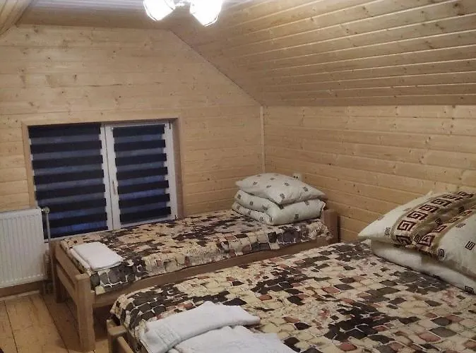 Отель Lisnyi