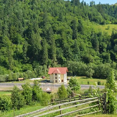 Lisnyi