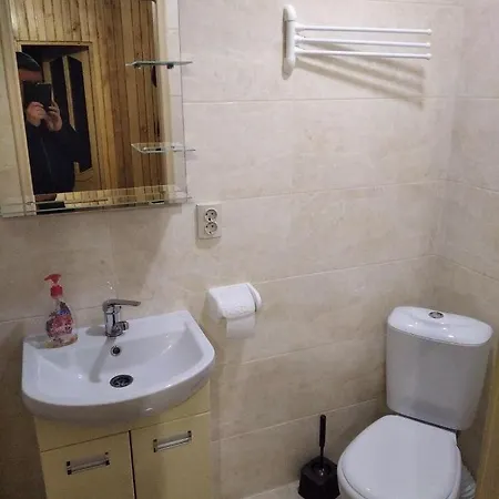 Lisnyi Hotel Mizhhirya (Transcarpathia)