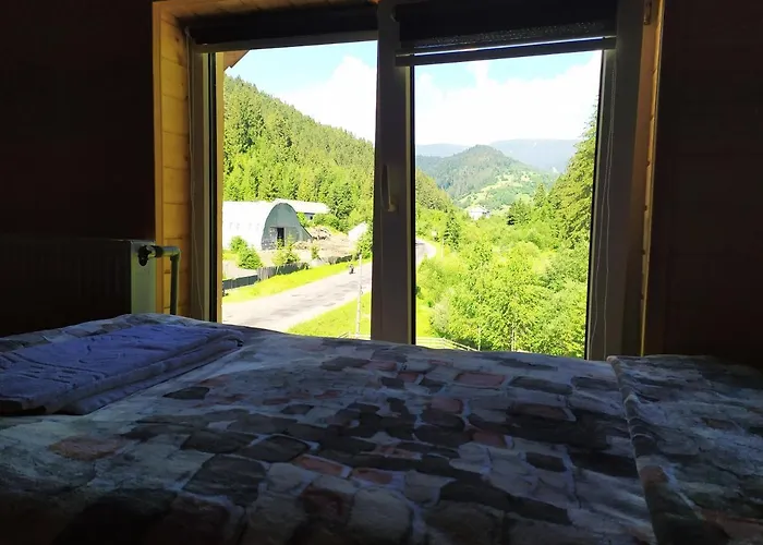Otel Lisnyi Mizhhirya (Transcarpathia)