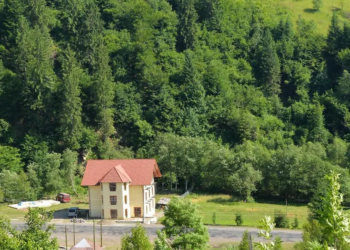 Lisnyi