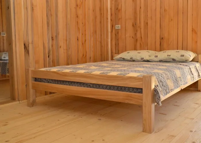 Otel Lisnyi Mizhhirya (Transcarpathia)