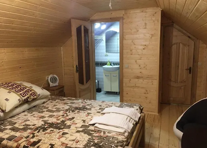 Otel Lisnyi Mizhhirya (Transcarpathia)